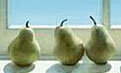 Art Student Academy Sunlit Fruit