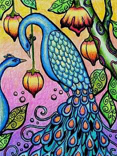 PEACOCK